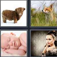 4 Pics 1 Word level 15-13 3 Letters