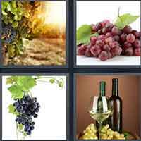 4 Pics 1 Word level 55-2 5 Letters