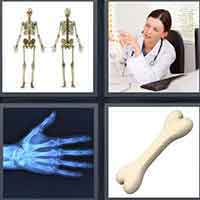 4 Pics 1 Word level 3496 