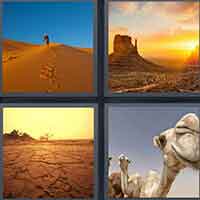 4 Pics 1 Word level 49-12 6 Letters