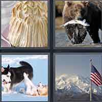 4 Pics 1 Word level 49-14 6 Letters