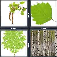 4 Pics 1 Word level 55-8 5 Letters