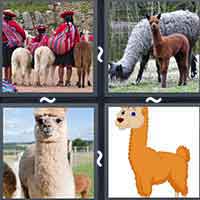 4 Pics 1 Word level 55-12 5 Letters