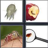 4 Pics 1 Word level 27-8 8 Letters