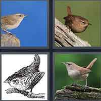 4 Pics 1 Word level 49-11 4 Letters